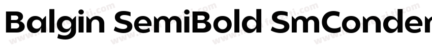Balgin SemiBold SmCondensed字体转换